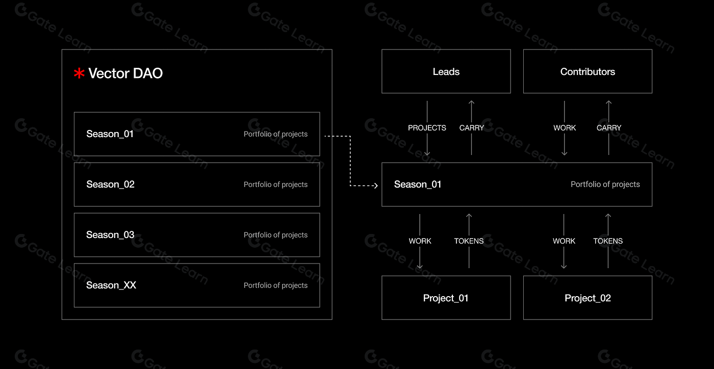 全面解析Vector DAO：区块链治理与运作机制详解
