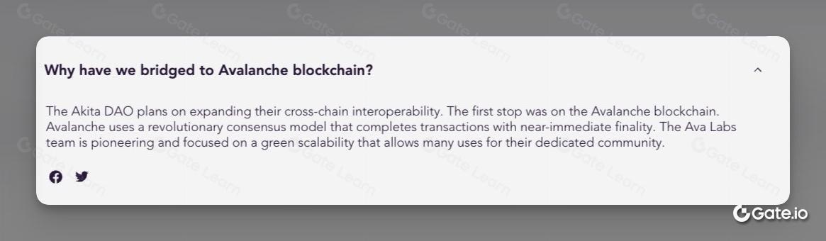 秋田犬币AKITA是什么 全面解析秋田犬币的特点与价值