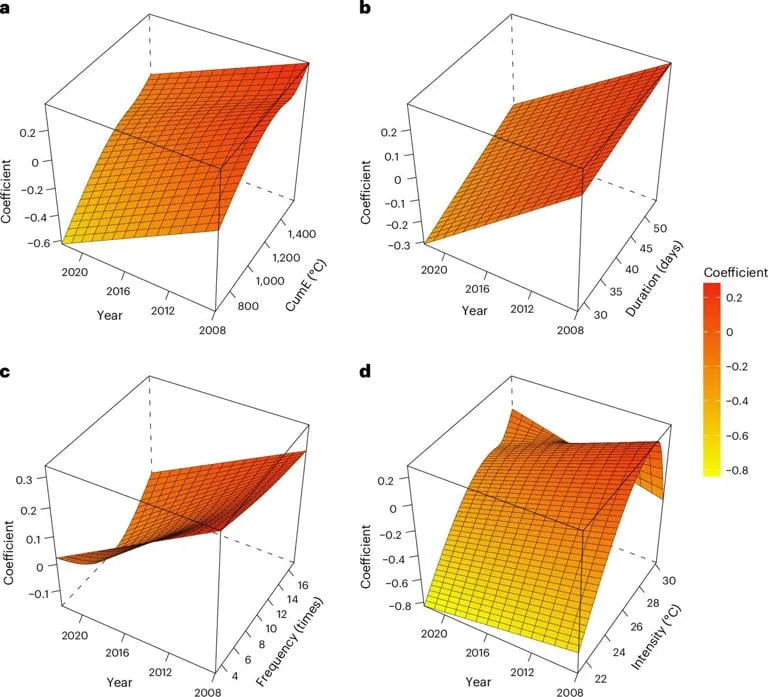 热浪加速身体老化堪比吸烟饮酒，15年研究揭示